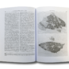 Planning Europe's Capital Cities: Aspects of Nineteenth Century Urban Development by Thomas Hall
