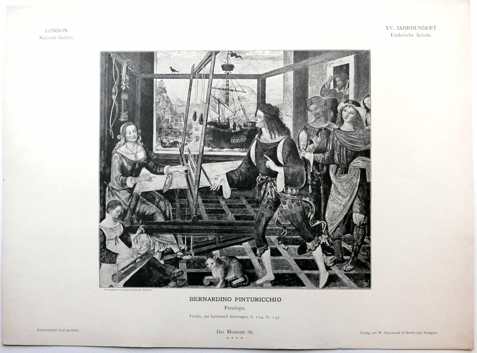 Das Museum Art Prints Pinturicchio