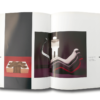 ModernFurniture-auk1 Charlotte and Peter Fiell, Modern Furniture Classics: Postwar to Post-Modernism (Thames & Hudson 1988)