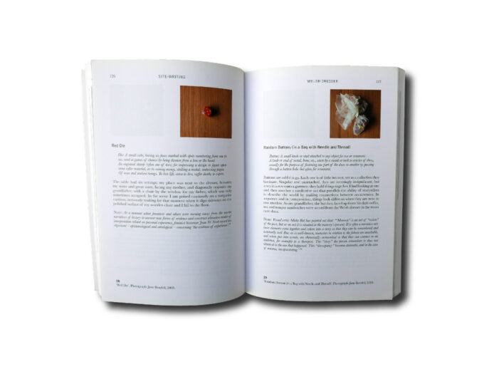 Site-Writing-auk2 Jane Rendell, Site-Writing – the Architecture of Art Criticism, I.B.Tauris 2010