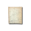 Image of the book America