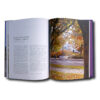Image presenting the book Alvar Aalto Churches