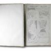 Image of the book Die architektonischen Ordnungen der Griechen und Römer