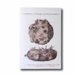 Image showing the book Ambiguous Territory: Architecture