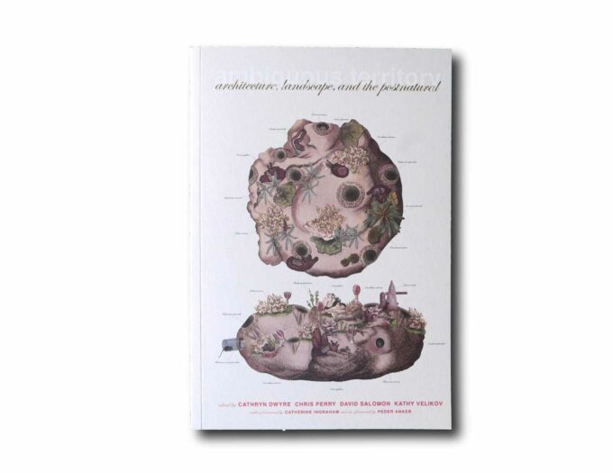 Image showing the book Ambiguous Territory: Architecture