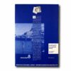 Image showing the book Alvar Aalto e il Classicismo nordico