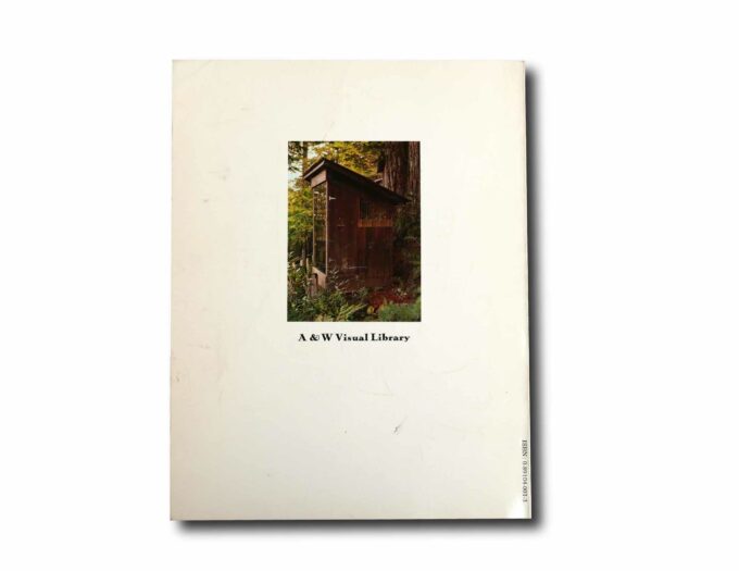 Handmade-Houses-taka