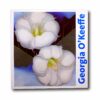 Image showing the book Georgia O'Keeffe