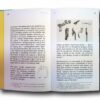 Photo showing a sample spread of the book Banal Buildings – Anthology